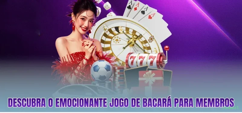 Programa VIP 33wwbet - benefícios exclusivos